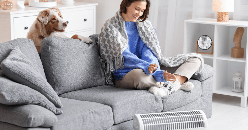 Indoor Propane Heater